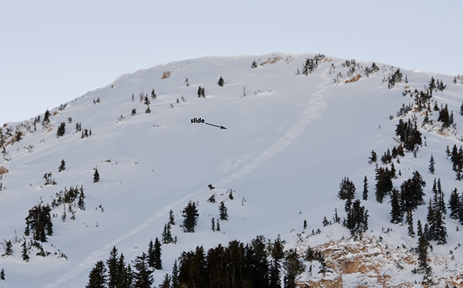 new snow slide